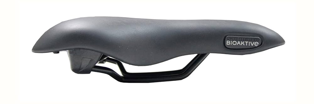 Amazon | selle sanmarco(セラ サンマルコ) 自転車 サドル 街